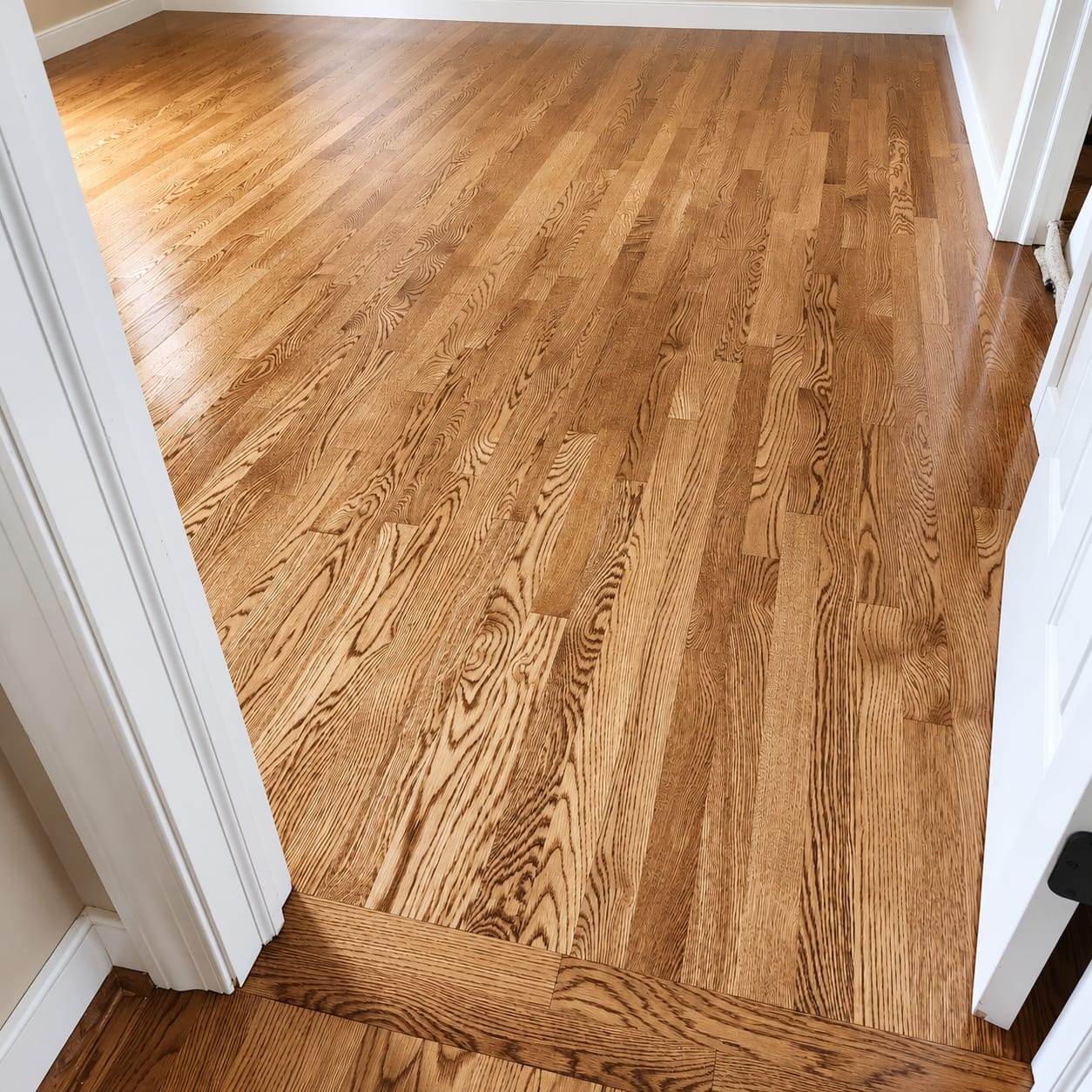 Floor Refinishing Project 1