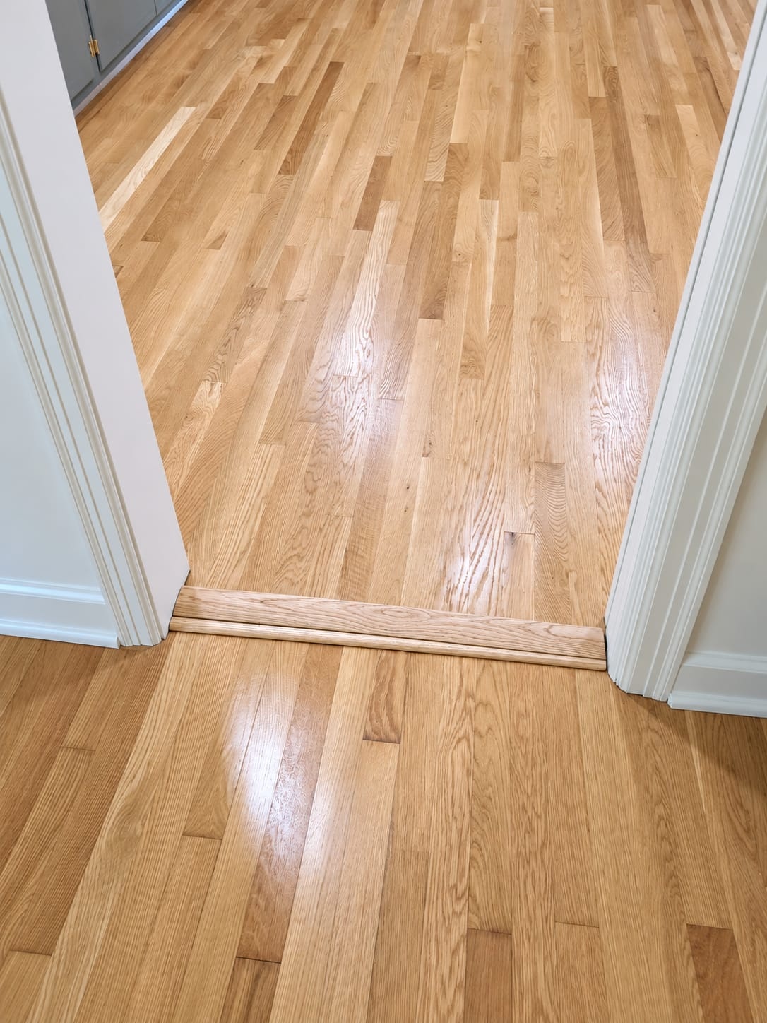 Floor Refinishing Project 2