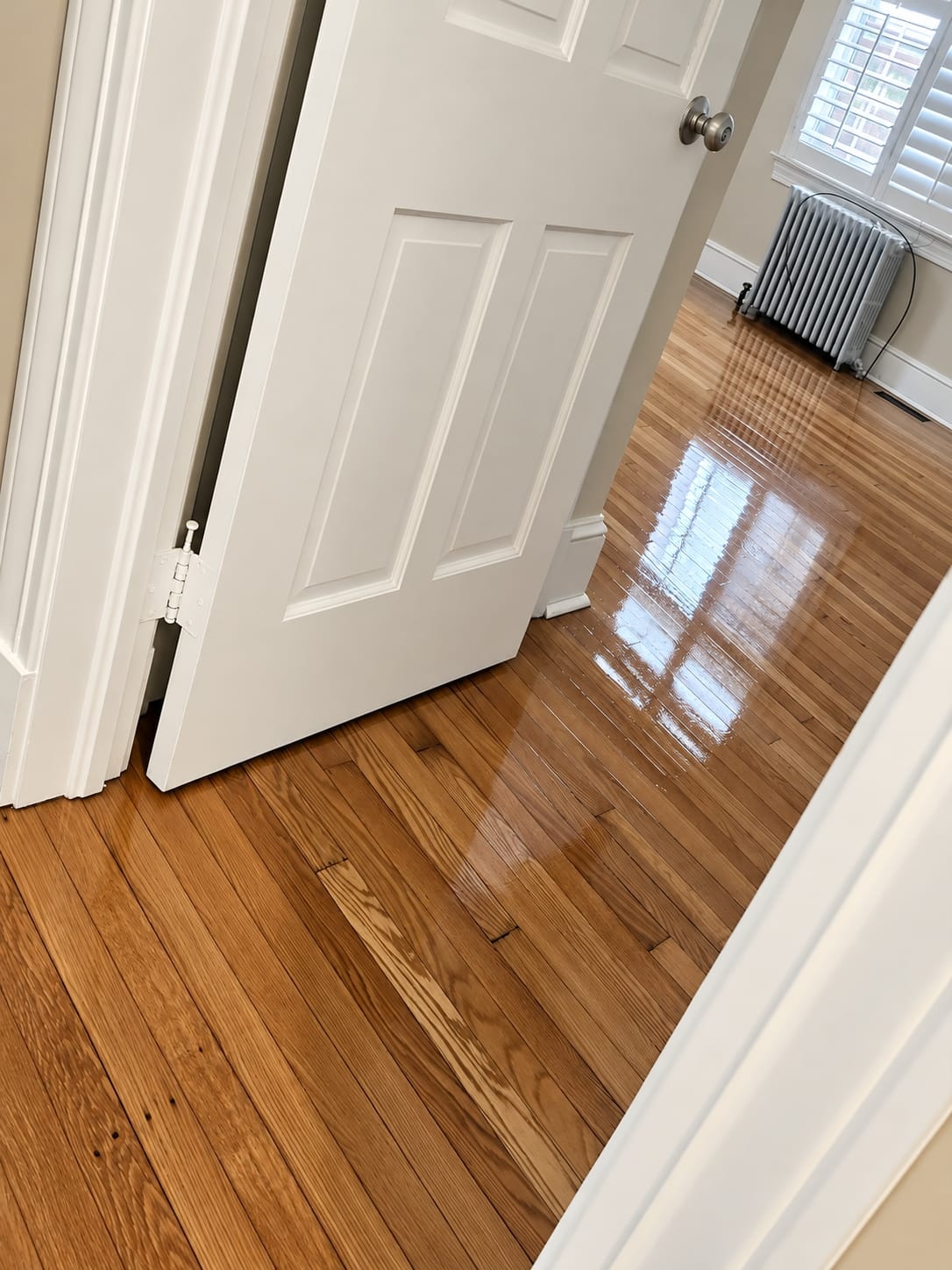 Floor Refinishing Project 5
